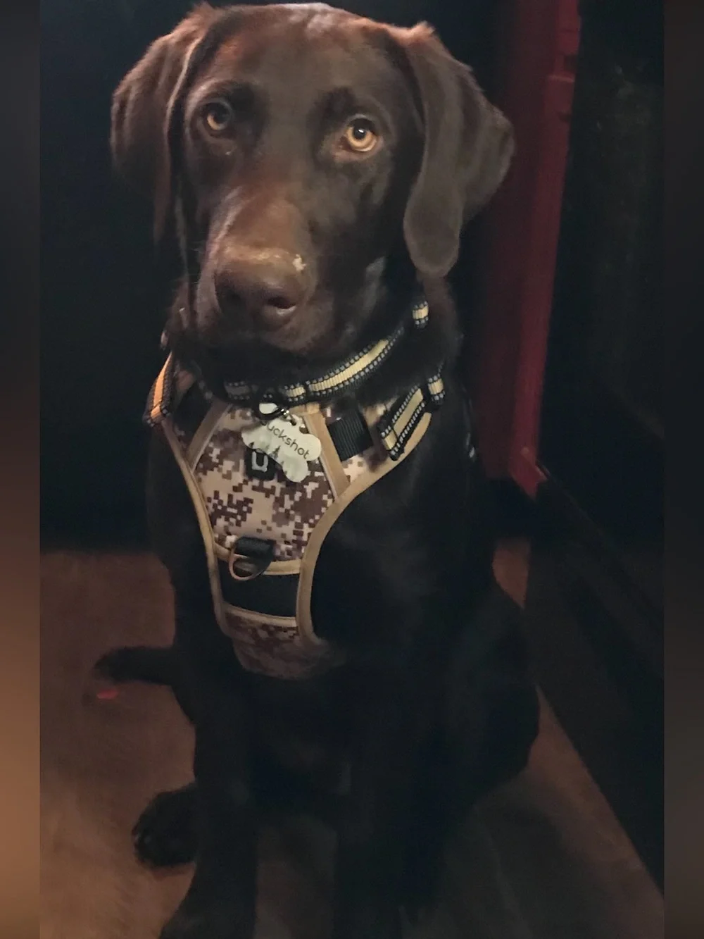 Dog Harness - Digital Camo Tan and Brown